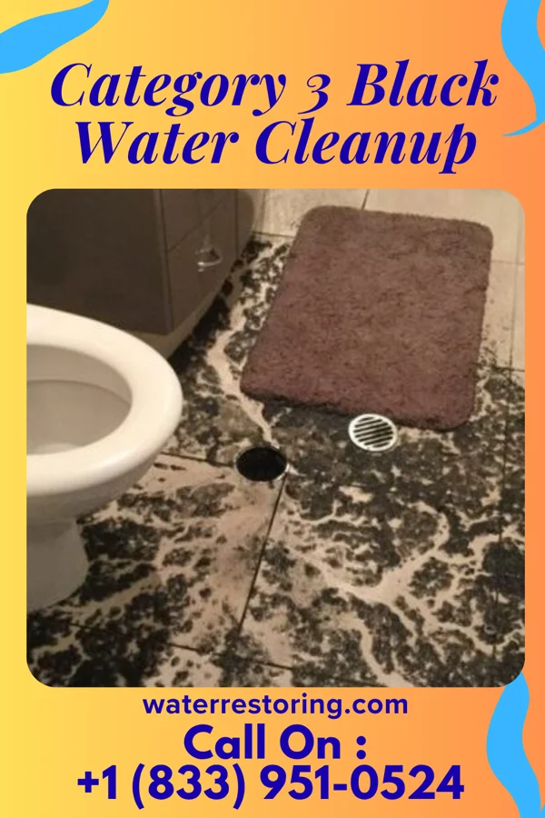 Category 3 Black Water Cleanup in Mont Ida, KS